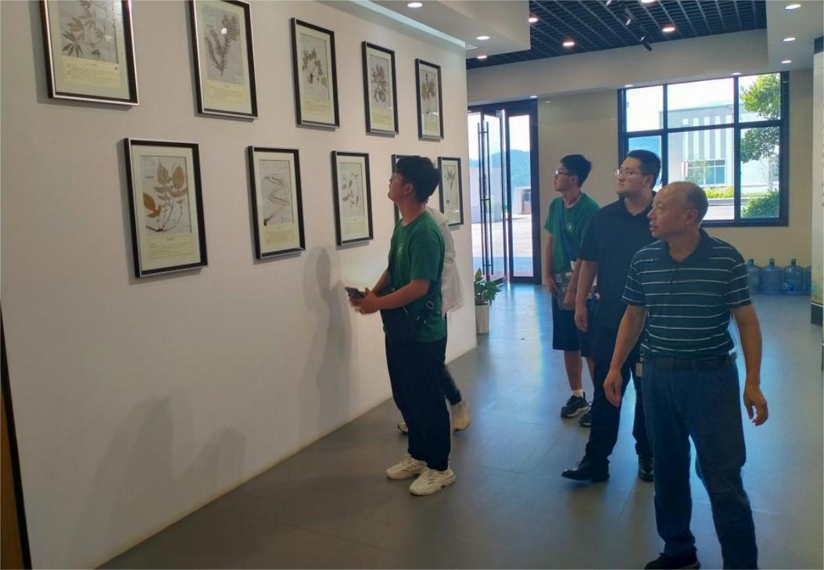 何经理引导团队成员参观欣中医药标本展厅（bwin国际 供图）(1)